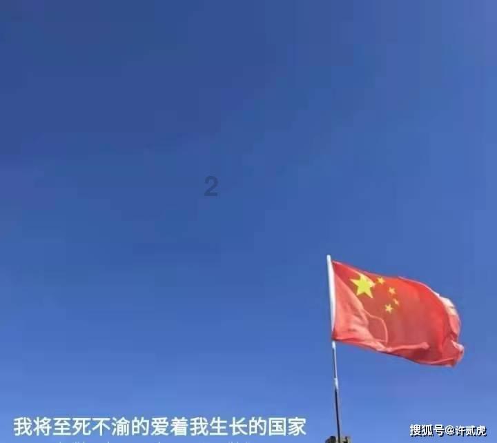 逃离金刚鹦鹉森林