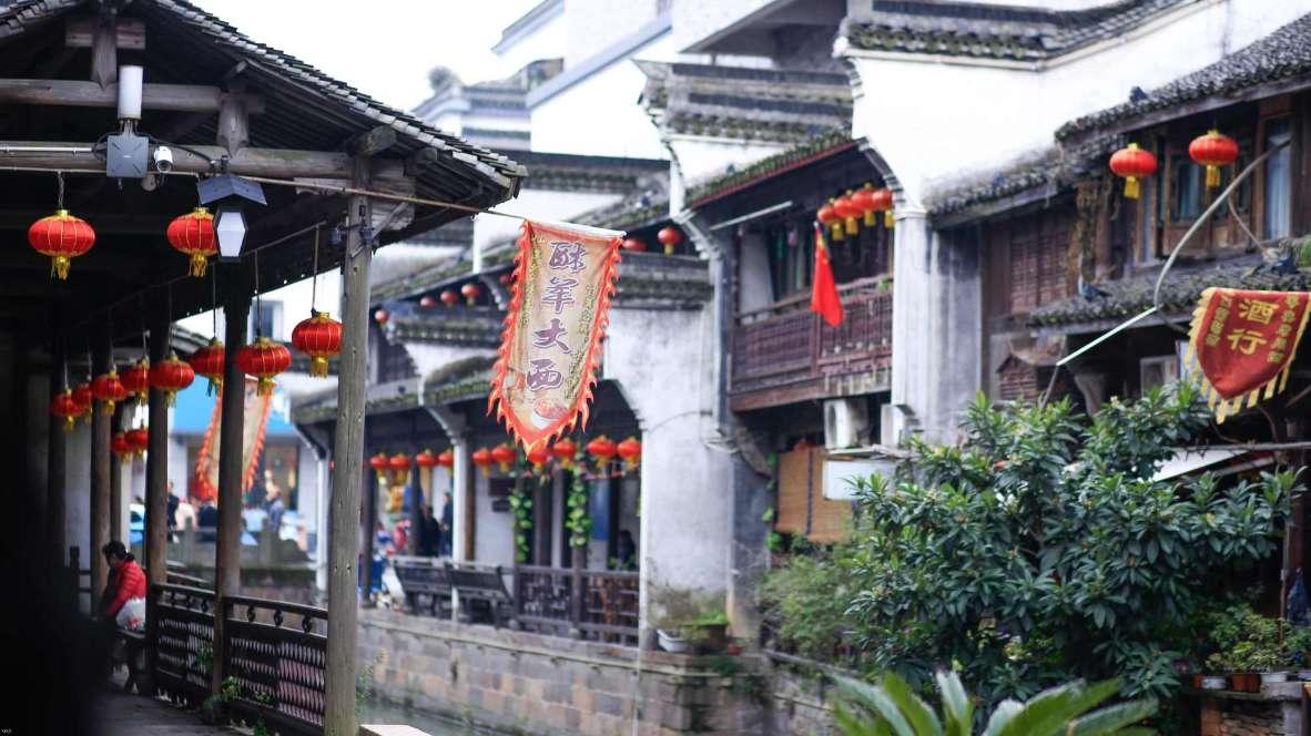 探索广义相对论的奇妙世界——这是什么兰花?交流平台